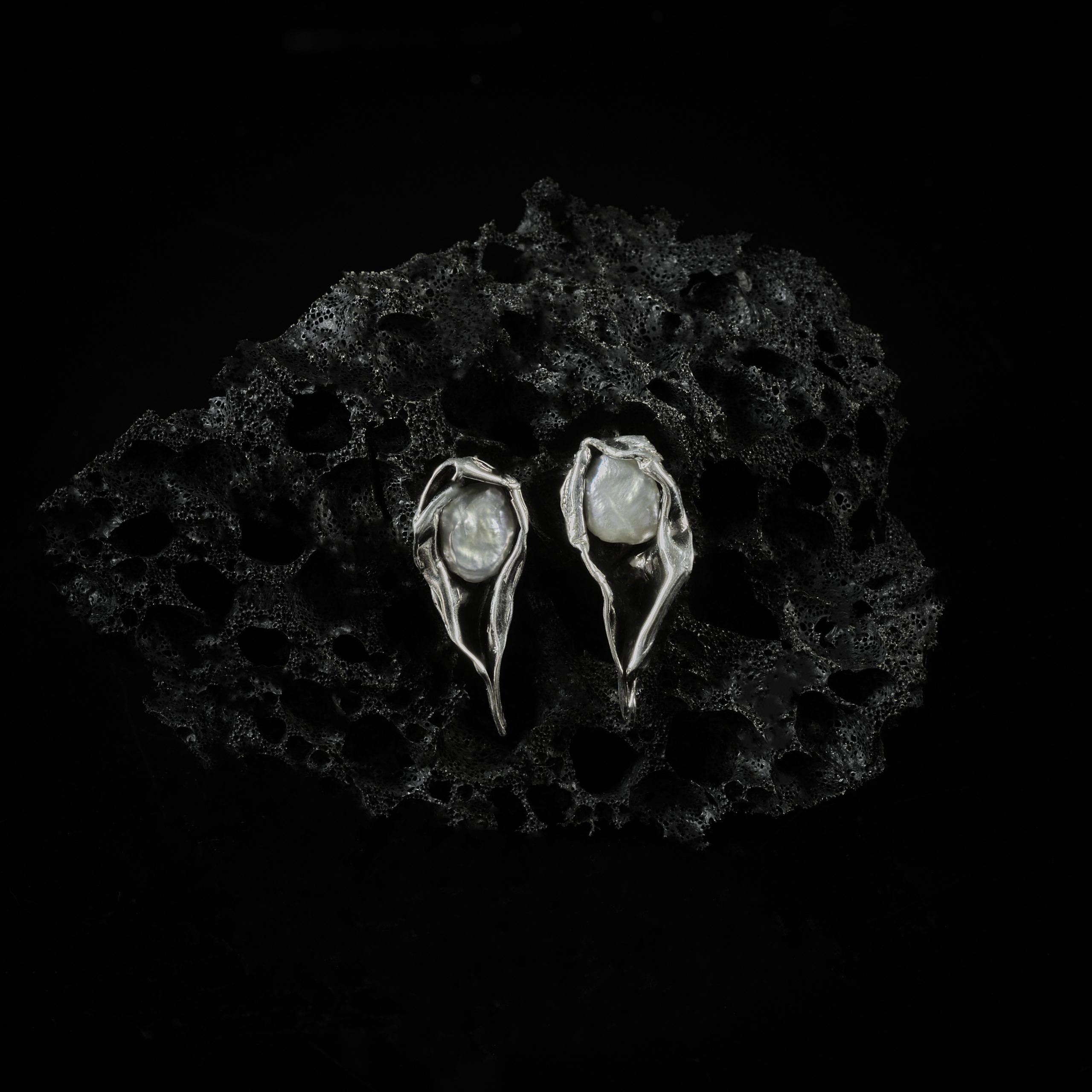 Pinna Nobilis Earrings